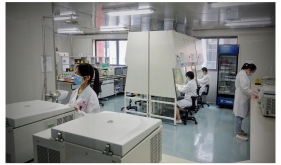 临床基因扩增实验室工作人员进行实验操作